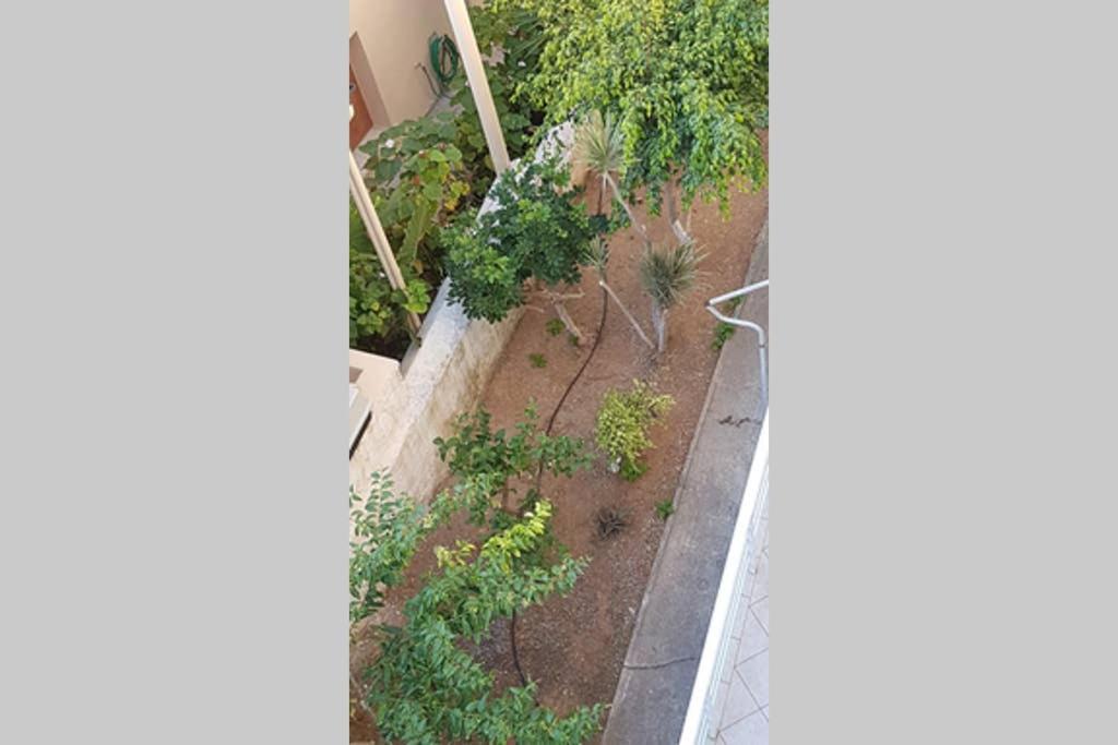 Ellis Apartments , Amperia , Crete 干尼亞 外观 照片
